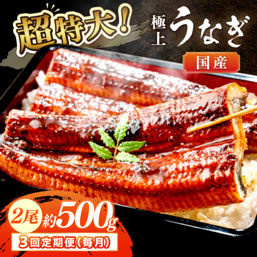 【定期便 毎月×3回】超特大！極上！国産うなぎ蒲焼 2尾 合計500g前後