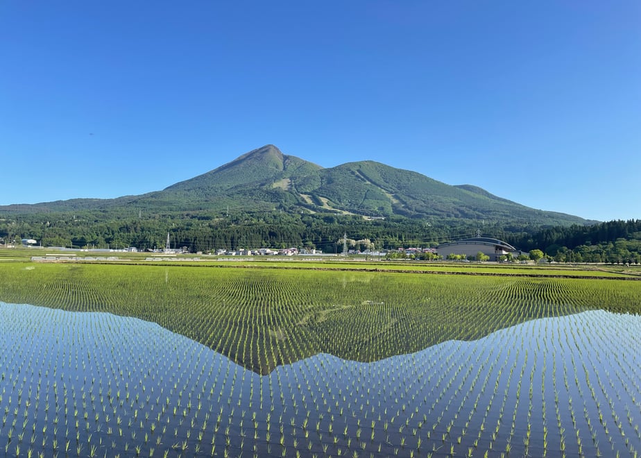 田舎もち 切り餅 400g×4袋_イメージ5
