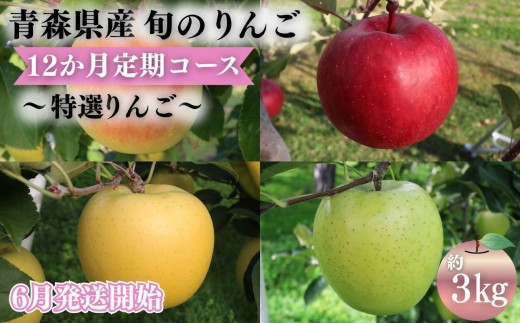 
                  【2027年6月発送開始】青森県産 りんご 12ヶ月定期便 約3kg 特選 1年間品種リレー 食べ比べセット 毎月配送 青森りんご 林檎 フルーツ 平川市
                