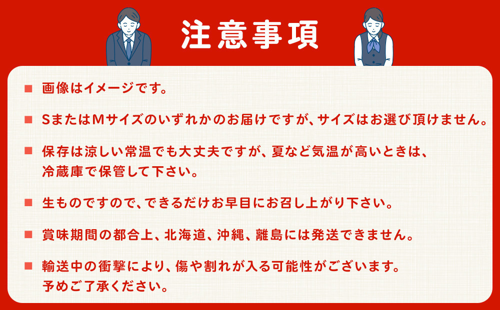 ［2026年6月出荷分］和歌山産ミニトマト「アイコトマト」約1kg（S・Mサイズおまかせ）［TM233］