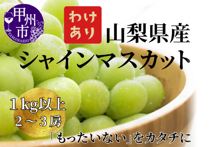 【訳あり】山梨県産旬のシャインマスカット 1kg以上（2～3房）【2025年発送】（LKS）A08-850【シャインマスカット 葡萄 ぶどう ブドウ 令和7年発送 期間限定 山梨県産 甲州市 フルーツ 果物】
