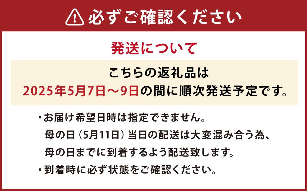 母の日にぴったりなカーネーションを中心にしたブーケ！花瓶付きタイプ	