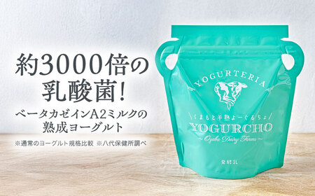 【全12回定期便】オオヤブデイリーファーム くまもと半熟よーぐるちょ 350g×5個ヨーグルト[AYAE024]