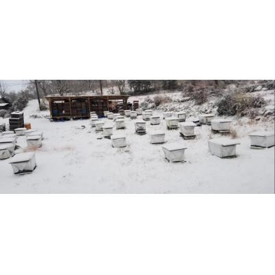 ふるさと納税 瑞浪市 磁器ハニーポット+野山の花ハチミツ200g入/カラー:ホワイト |  | 02