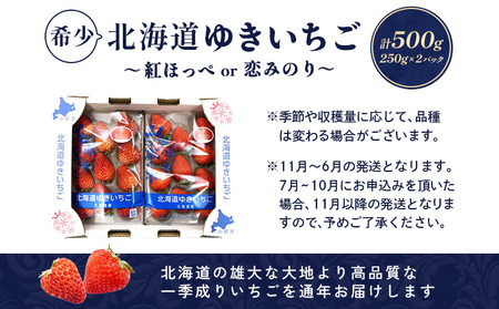 【受注後、随時発送！】【北海道産】ゆきいちご（紅ほっぺor恋みのり） ２Pセット 各250g×２ 計500g【59005】