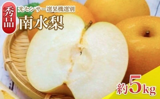 
            【9月上旬から発送予定】南信州生まれのジューシーで甘い梨　南水梨　約5kg　光センサー選別 秀品 | 長野県 飯田市
          