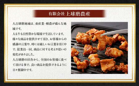 牛みそホルモン 500g×2パック 計1kg 牛 肉 味噌 ホルモン