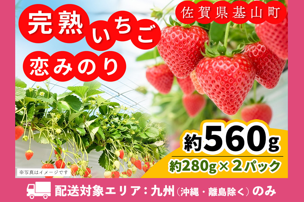 【九州内配送】【農場直送いちご】恋みのり(約280g×2P)【ふるさと納税 基山町産 イチゴ 朝採れ 完熟果 KBCテレビ「ふるさとwish」で紹介されました】K100027