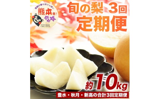 定期便3回 梨 なし ナシ 和梨 豊水 秋月 新高 フルーツ 果物 くだもの 約10kg（ 12～36玉）×3回【2026年8月上旬～2026年10月下旬発送予定】 国産 熊本県 熊本 九州 産地直送 果汁 たっぷり フレッシュ 日本フルーツ