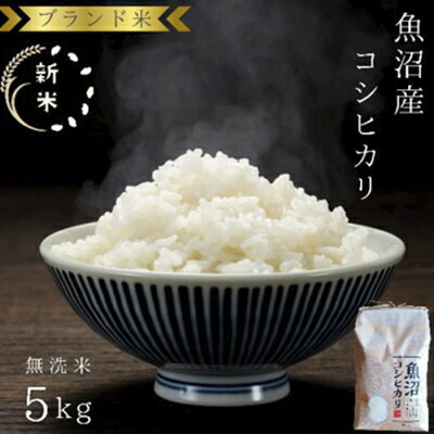 【ふるさと納税】令和7年産 ブランド米 魚沼産コシヒカリ 無洗米 5kg お米 コシヒカリ100％ ミネラル 　お届け：寄附入金確認後、随時発送
