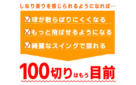 (男性/左打ち用)LAROUGE GNYA（ラルージュグニャ）練習用アイアン - 素振りだけでなく実打できる練習用ドライバー