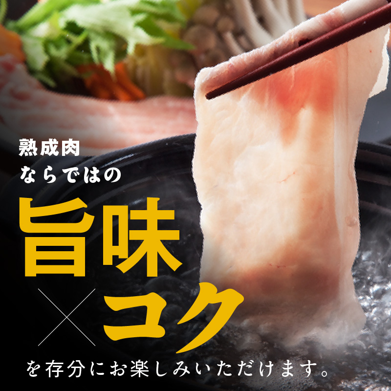 宮崎県産熟成豚 切り落としセット 約200g×8個 N0105-YA6603 約200g×8個