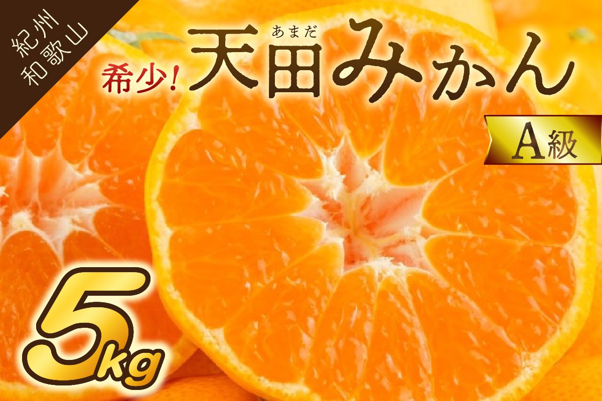 
            希少！天田みかん（紀州和歌山）A級5kg《先行予約》
          