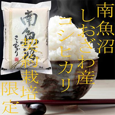 ふるさと納税 南魚沼市 【発送月固定定期便】生産者限定 契約栽培 南魚沼しおざわ産コシヒカリ 精米2Kg全6回