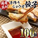 【ふるさと納税】国産豚肉使用！手作りショウガ餃子100個セット(10個×10パック たれ付き） 餃子 ぎょうざ ニンニク不使用 しょうが 生姜 冷凍 おかず おつまみ 惣菜 小分け 国産原料【スーパーよしだ】