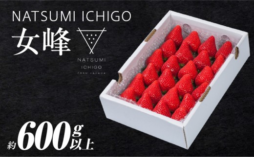 ≪先行予約≫ NATSUMI ICHIGO 女峰 約600g以上 （2027年1月～6月配送| いちご フルーツ 果物 果実 デザート スイーツ おすすめ 人気 贈答 贈り物 化粧箱 旬 旬の果物 旬のいちご ご褒美 ギフト 国産 果肉 果汁 香川県 三木町 送料無料|_mk060-002