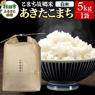 ふるさと納税 秋田市 米 こまち故郷米 あきたこまち 5kg ×1袋 白米 令和7年産|15_kjd-010501