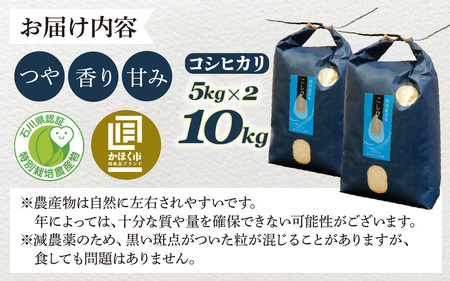 【先行予約】こしひかり 10kg【2027年2月発送】｜ コシヒカリ お米