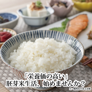 あいさい黄金米 2㎏