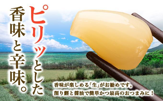 ≪2026年2月下旬～5月下旬発送≫採れたて島らっきょう 500g 【 沖縄県 石垣市 野菜 らっきょう 島らっきょう おつまみ 採れたて 料理 漬物 天ぷら おかぴ農園 産地直送 】OK-01 50