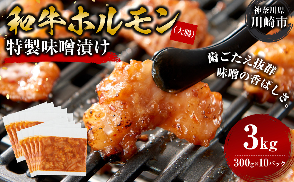 ＜訳アリ＞和牛ホルモン（大腸）　特製味噌漬け　3kg(300g×10）【2026年3月発送】 141305_KZ27VC03