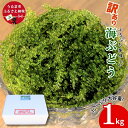 【ふるさと納税】訳あり海ぶどう 1kg（茎付き）【うるま市産】沖縄 ふるさと納税 海ぶどう ぷちぷち 大容量 サラダ 海鮮丼