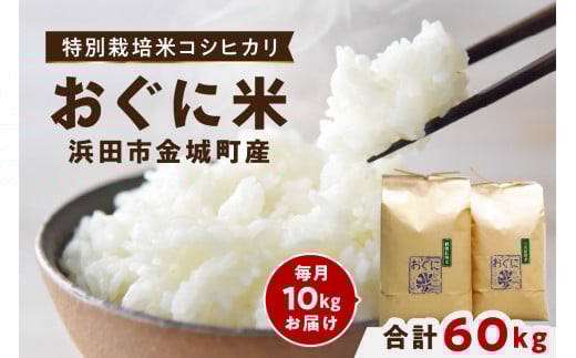 【定期便】【先行予約】【令和7年産】浜田市金城町産コシヒカリ「おぐに米」10kg定期便（6回コース） 定期便 10キロ 6回 米 お米 こしひかり 白米 特産品 お取り寄せ 精米 小分け 【071_0862】