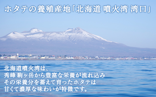 【先行予約2024年3月下旬発送開始】【緊急支援品】 ホタテ 