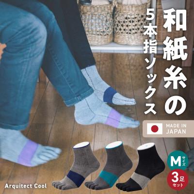 ふるさと納税 久留米市 和紙×コラーゲンナイロン アルキテクト・クール3足入り(3色/M寸)