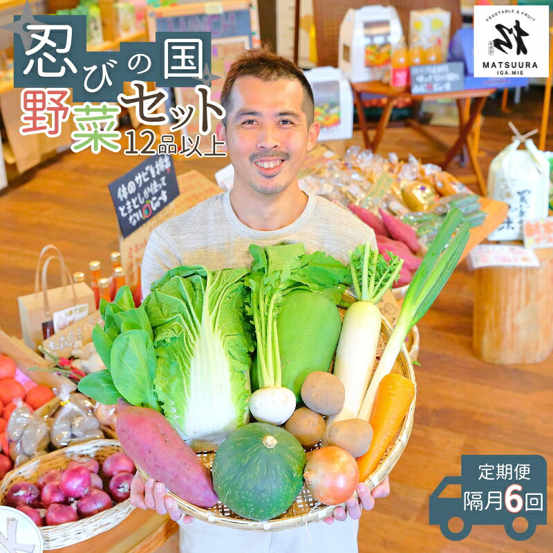 【ふるさと納税】【定期便】 忍びの国の野菜セット（12品以上）隔月6回お届け ※配送不可：離島