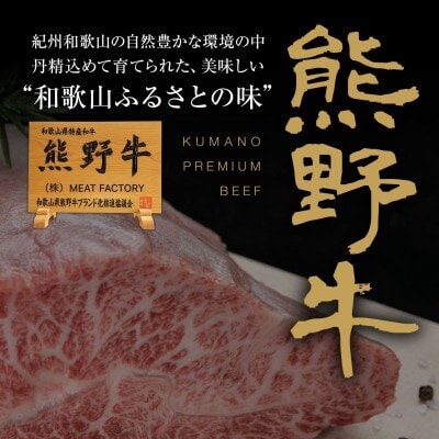 熊野牛　赤身ブロック　真空パック　500g【配送不可地域：離島】