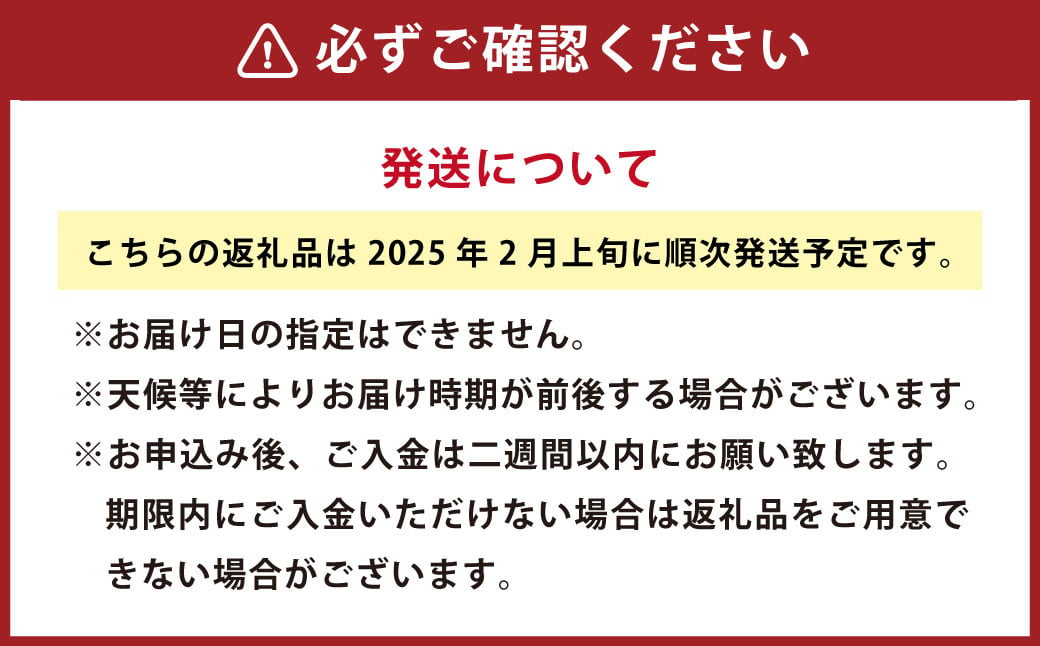 不知火 （デコポン） 7kg しらぬい くだもの 果物 フルーツ 柑橘【2025年2月上旬～2月下旬発送】