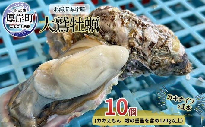 
北海道 厚岸産 大鷲牡蠣 10個[№5863-0942]
