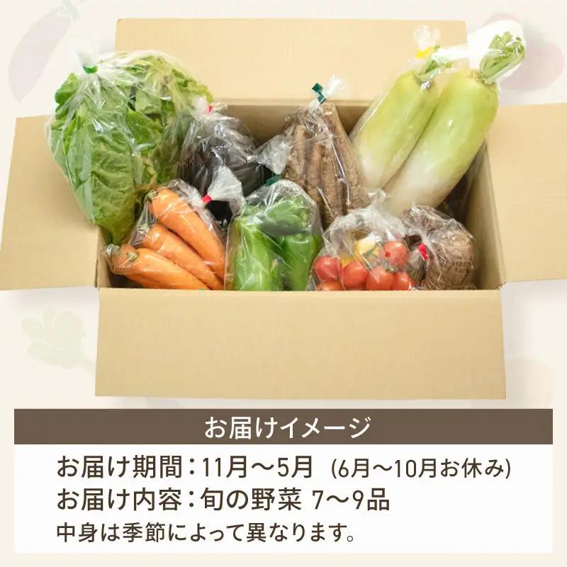 【野菜】新鮮野菜セット ( 7～9品 )