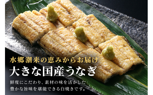 増田川魚店うなぎ白焼＜特上5本＞ うなぎ 白焼き 特上 5本 愛知県三河産 国産 ウナギ 鰻 しらやき タレ 山椒付き 炭火焼き 冷蔵便 贈答用 ギフト 家庭用 土用の丑 茨城県 潮来市 (A07-0