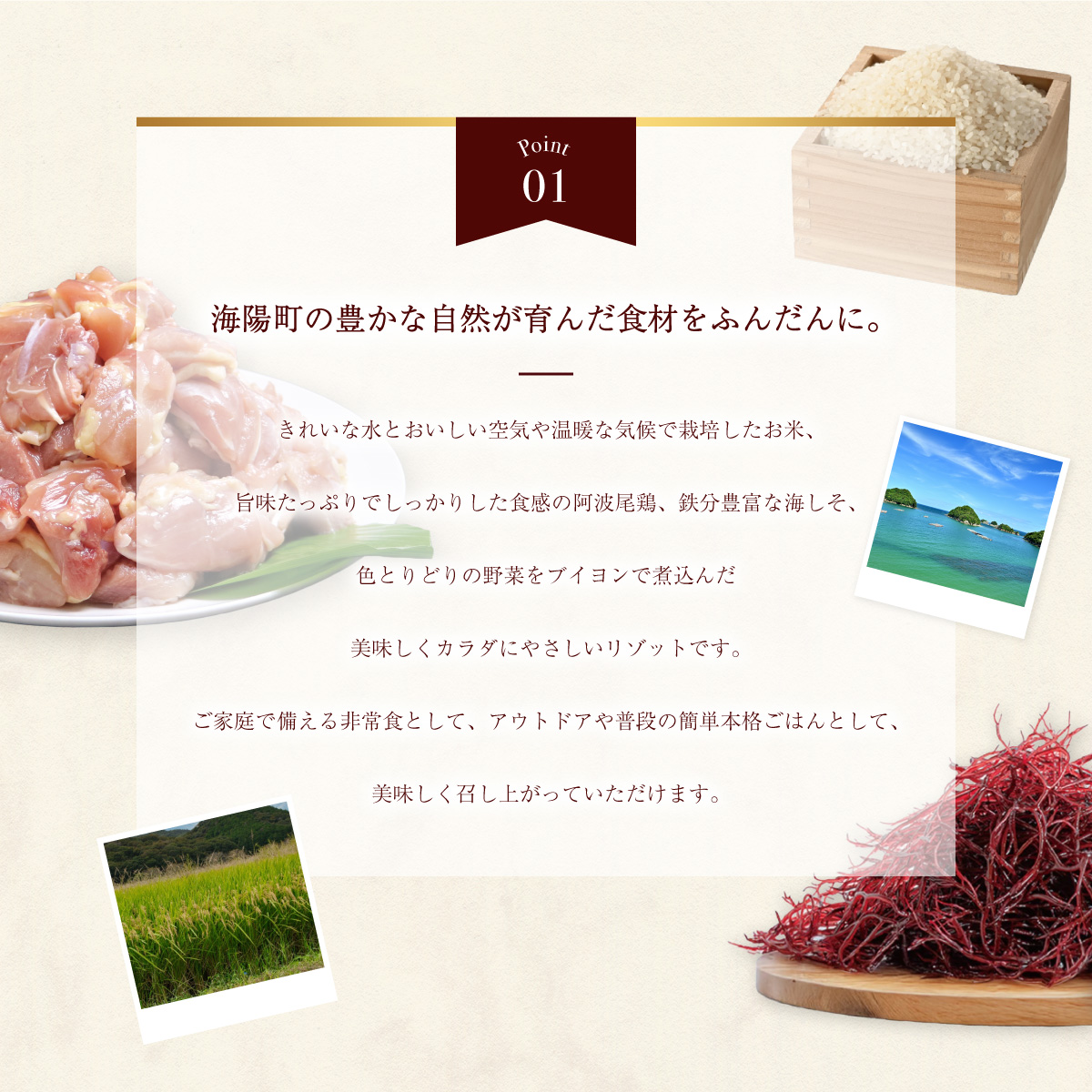 阿波尾鶏と海しそのリゾット 2食 セット ブイヨン仕立て 生クリーム仕立て 各1食 計2食 防災食