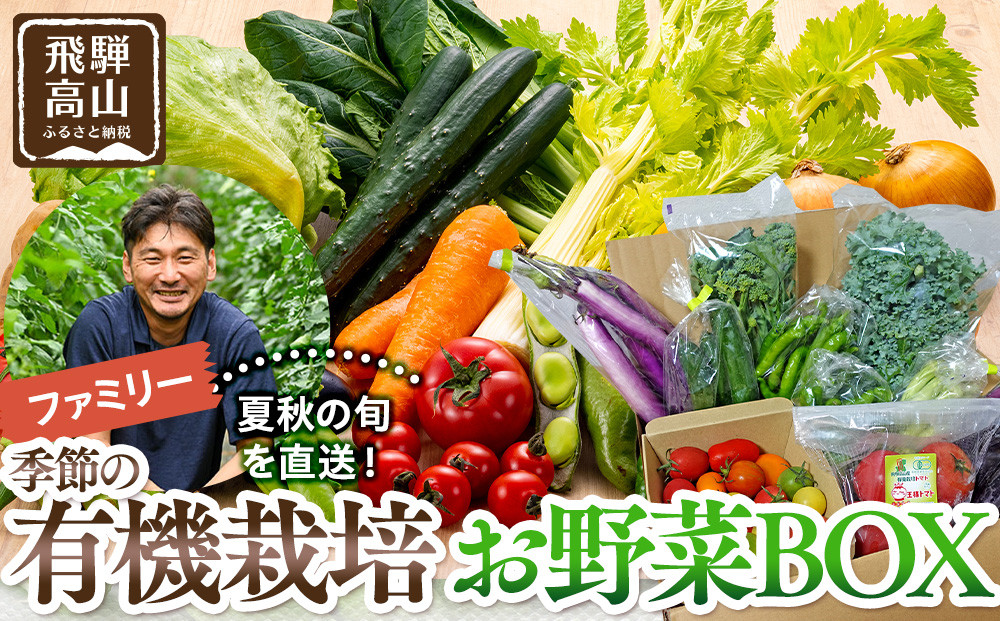 飛騨高山産 季節の有機栽培お野菜BOX（ファミリー）お届け：6月?10月｜ファミリー 新鮮  有機野菜 旬野菜 地元野菜 やさい 農園 高山市 山藏農園 JC022