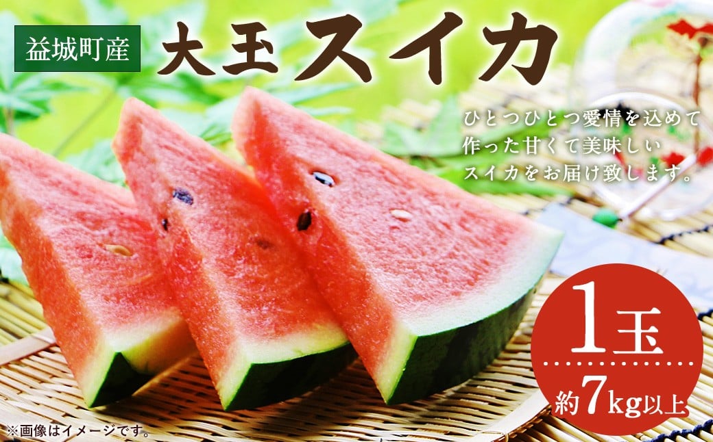 
            益城町産 スイカ 大玉 1玉（約7Kg以上） 【2026年5月下旬～6月上旬発送予定】
          