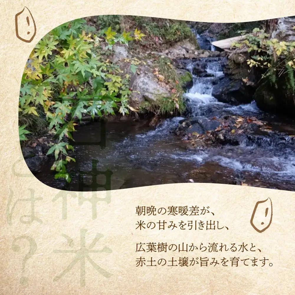 令和8年産 米 石神米 コシヒカリ10kg / 米 コシヒカリ