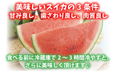 【先行予約】甘さきらめく「夏の天使」スイカ1玉 【2024年7月上旬以降順次発送予定】[A-1005]
