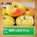 【ふるさと納税】りんご 【1～2月発送】【訳あり】家庭用 ぐんま名月 約5kg 糖度13度以上（糖度証明書付き）【 弘前市産 青森りんご 】　 果物類 フルーツ スイーツ こだわり 甘い ジューシー 香り 高糖度 美味しい 　お届け：2025年1月10日～2025年2月28日