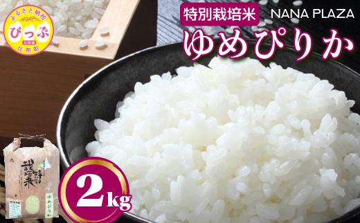 
                  令和7年産 特別栽培米 ゆめぴりか 2kg【ナナプラザ】米 お米 北海道産 北海道米 特Aランク 国産 白米 コメ 北海道 比布町 ぴっぷ 1021-011
                