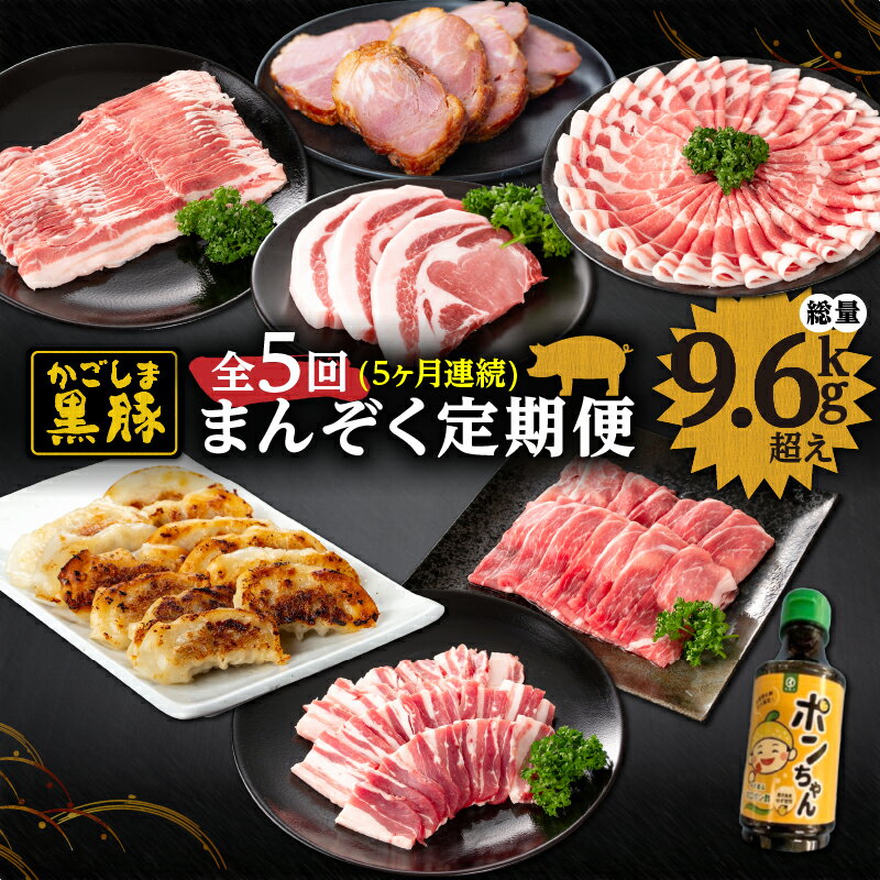 【ふるさと納税】 ＜国産＞ 【定期便】 鹿児島黒豚まんぞく定期便＜全5回お届け＞しゃぶしゃぶ、とんかつ肉、焼豚、餃子を1ヶ月ごとに5回お届け！ 国産 豚肉 ぎょうざ トンカツ 定期便 お楽しみ【和田養豚】