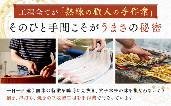 特選明石産炭焼き穴子（タレ3個付き） うなぎ 鰻 魚貝類 加工食品 