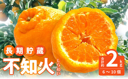 【ふるさと納税】数量限定【5月以降出荷】夏季まで美味しさを保つ、長期貯蔵「不知火」約2kg