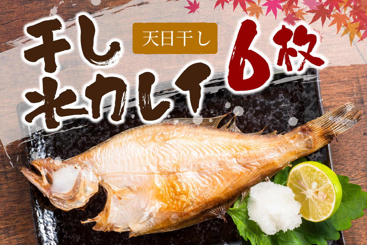 天日(W)干し水カレイ 6枚入り【多田商店】 魚介類 魚貝類 魚 カレイ 水カレイ 干物 干もの 【035_0944】
