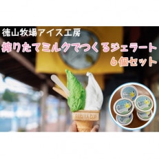 徳山牧場アイス工房の搾りたてミルクでつくるジェラート6個セット