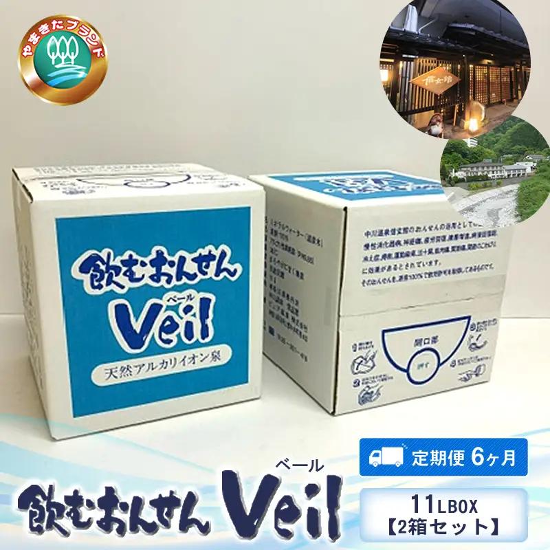 【定期便6ヶ月】飲むおんせんベール11LBOX【2箱セット】【 温泉水 温泉純度100％ 保存水 防災 神奈川県 山北町 】