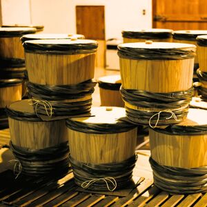 日本酒 純米吟醸生原酒 季節の真澄 あらばしり樽酒 720ml 2本 冬季限定酒 地酒 信州 長野県 富士見町