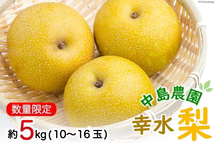 
            BH005 【令和8年度出荷分】【数量限定】 幸水梨 約5kg（10玉～16玉） [新鮮 農家直送 夏の味覚 贅沢宝庫 フルーツ]
          